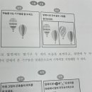 창의수학지도사자격증 이미지