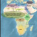 석인농장 | Levant culture