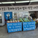 오이도건어물과젓갈