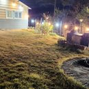 강릉애견하우스 이미지