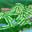 골드레이크