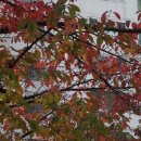 # 해운대 누리마루 야경.. 이미지