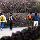 제주 올레길 15코스 B 이미지