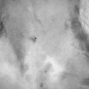 지중해동물병원 이미지