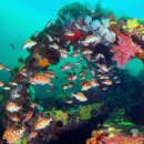 영덕목장 이미지