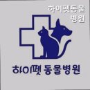 하이펫동물병원 네이버블로그