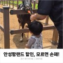 근성목장 | 22개월 아기랑 안성팜랜드 할인 꿀팁, 식당은 딱히