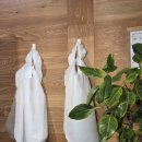 (창동로)L | 거창 숨은 맛집 발견! 🐮 l 거창 가야한우갈비살