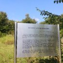 전첨 류세구묘역 네이버블로그