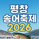 대관령스노우펜션 | 2026 평창 송어축제 완벽 가이드