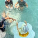 성내천 물놀이장 화장실 이미지