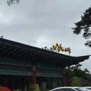 남도예담IN벨포레 이미지