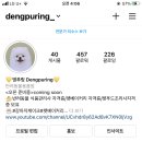댕푸링 이미지