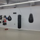 골든라이언 이미지