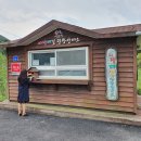 해미읍성 관광안내소 티스토리