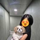 올펫살롱 이미지