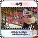 지에스25수원정조로 | 수원 실내가볼만한 행궁동 행궁다과 뷰맛집 빙수 정조테마공연장 코스