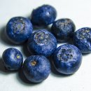 블루베리 이미지