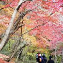 안전한 가을 등산법.. 하산할 때 특히 주의 이미지