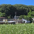 현내2리 이미지