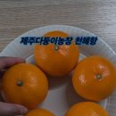 다둥이농장 이미지