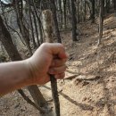 오만방자한 중구의 어느 구석진 방구석 파이터는 보거라 이미지