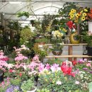 이화농원 이미지