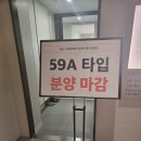 베이프론트 이미지
