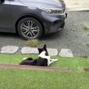 옥포대첩로 | [경남 거제] 캠프빌리지 카라반 내돈내산 후기