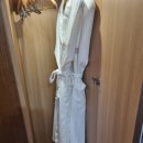 댕이곳간 | *강아지와 함께 숙박가능해요 라마다호텔평창 애견동반룸에서 2박3일 지내보기 1편 (주차 및 룸컨디션)