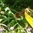 청마농장2 이미지