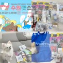 pet132다9862 | 2024 수원 펫쇼 방문후기! 펫쇼백 당첨후기!