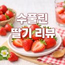 달콤풀 | 수풀린 설향 딸기 후기｜달콤함이 남다른 제철 딸기 🍓