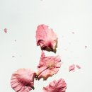 유니크디자인
