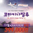 매일관광(주) 이미지