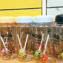 로뎀음악교습소 이미지