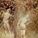 사랑의묘약 이미지