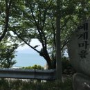 새남해농협남상지점 이미지