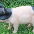 남곡초등학교(병설) 이미지