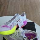 디나휘트니스 이미지