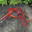 나드리독 이미지