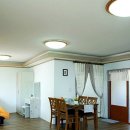 방울풍뎅이 이미지