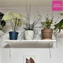 (주) 나날이 이미지