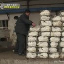 상춘농장 이미지