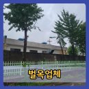 강인정비공장 | 안산벌목업체 롯데케미칼 공장 고사목 처리작업 제거방법 현장 후기