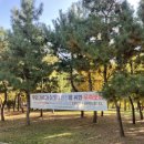 미추홀공원 갯벌문화관(커뮤니티) | 인천 송도 아이랑 가볼만한곳 미추홀공원 대형놀이터