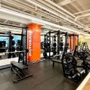 파인드짐 이미지