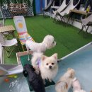 라운지독 이미지