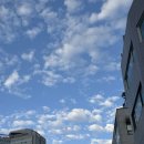 [수영 일기] 수영이 안돼서 우울할 수도 있는 것임..?.. 어른도..? 중구회현스포츠센터 자유수영 후기