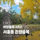 양지동제2복지회관 | 서홍동 은행골목 하영올레 3코스 서귀포 러닝코스